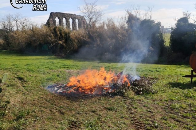 Incendio PArco Appia Antica