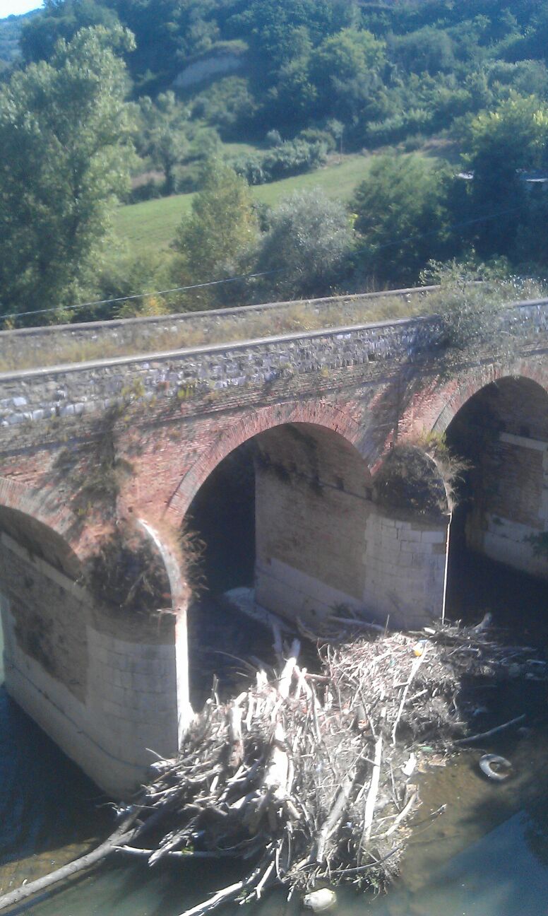 tronchi-incastrati-ponte-2014