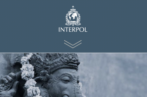 INTERPOL Report 2020