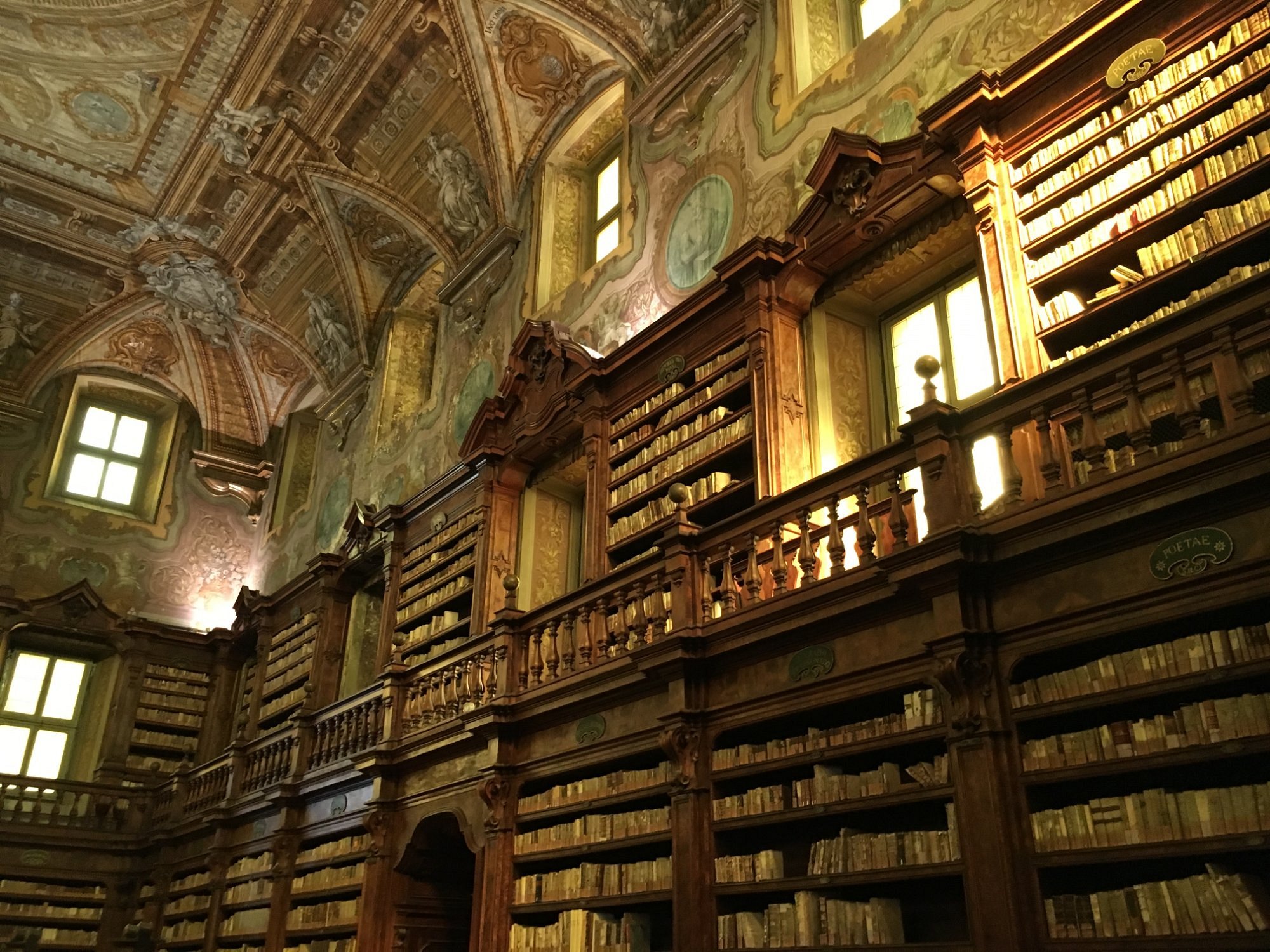 Biblioteca Civica G. Tronchin - Chi me l'ha fatta in testa?