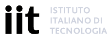 Logo IIT