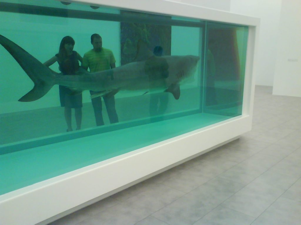 Shark-Hirst