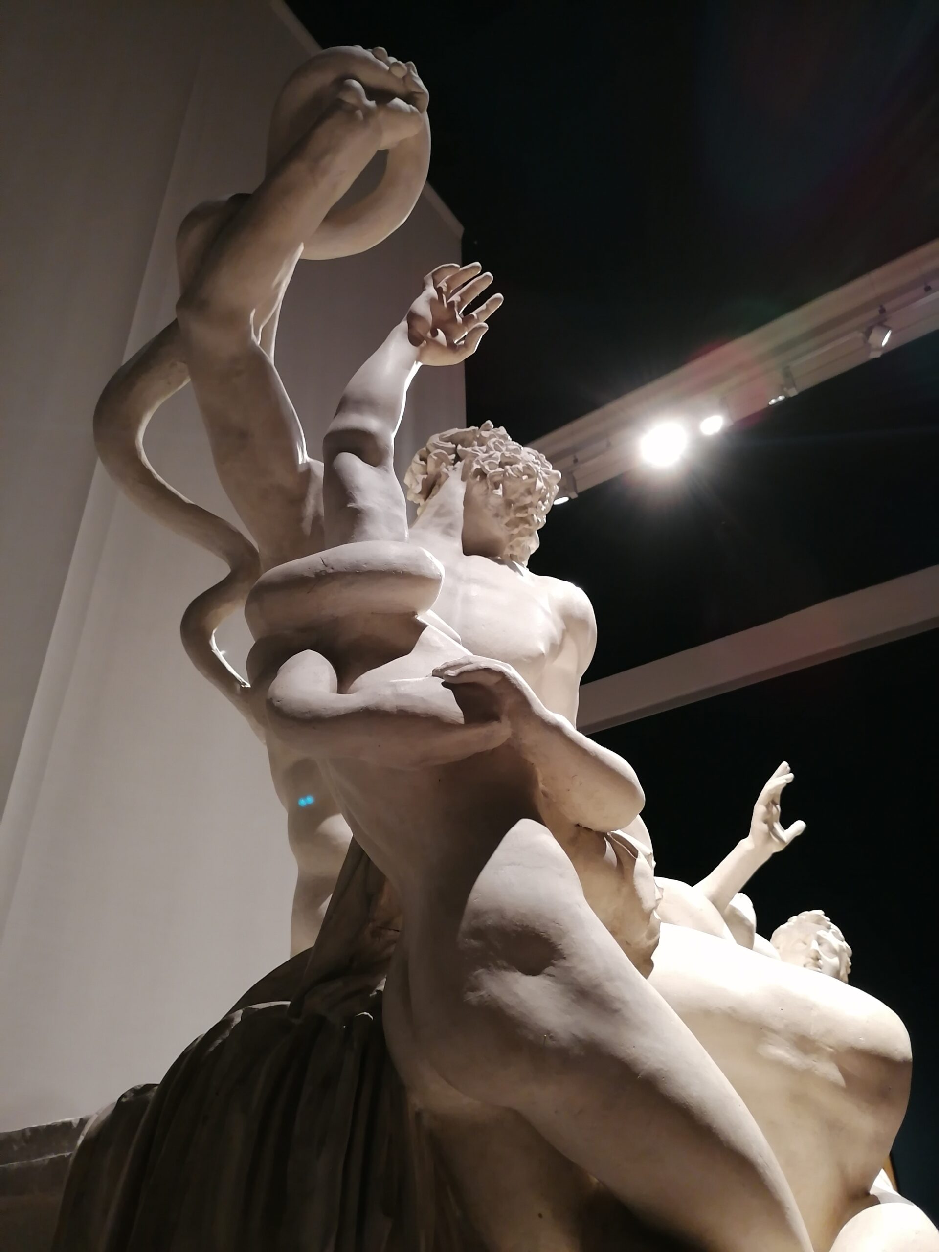 Io-Canova-Laocoonte-dettaglio