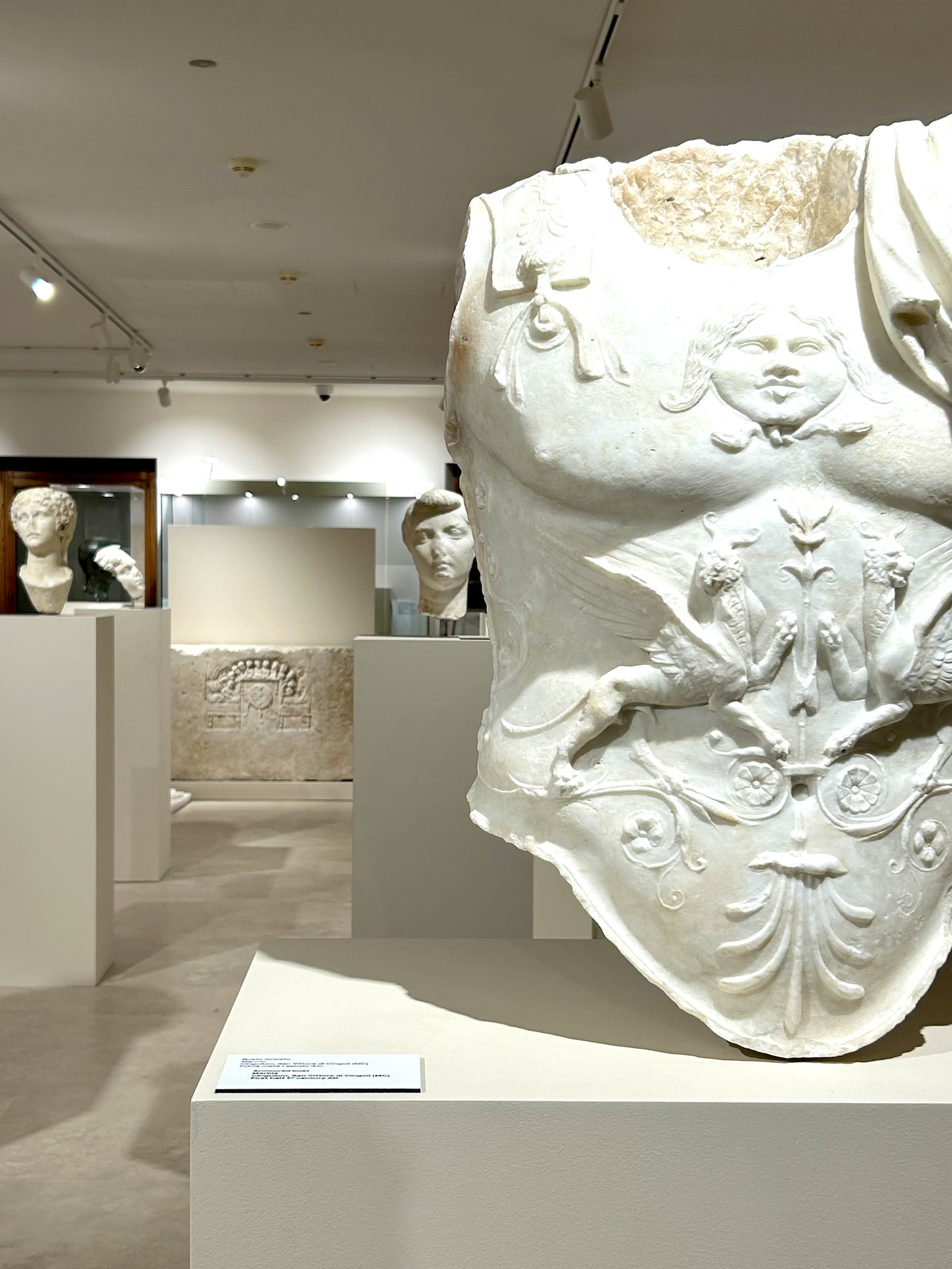 Museo Nazionale Archeologico Marche11