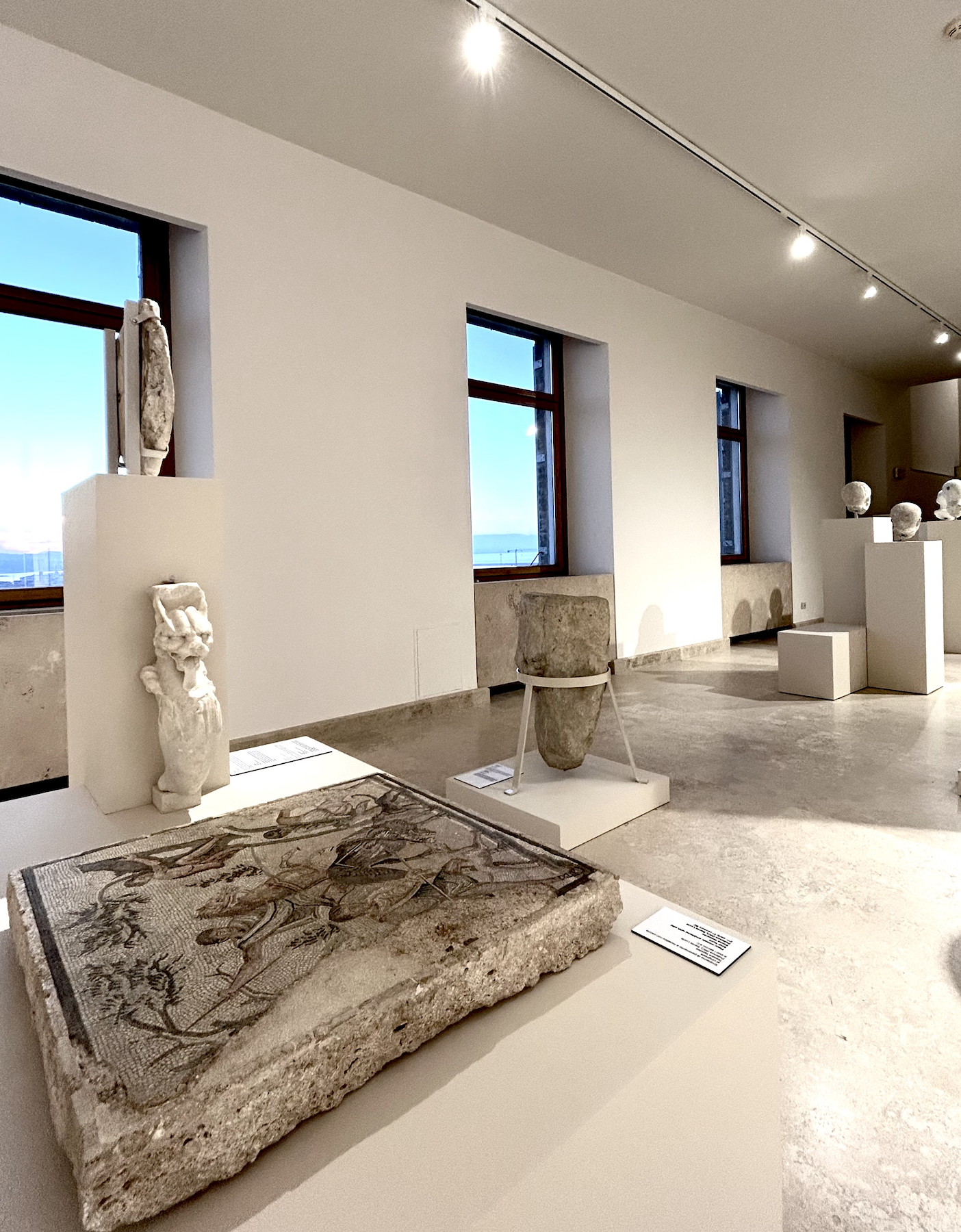 Museo Nazionale Archeologico Marche6