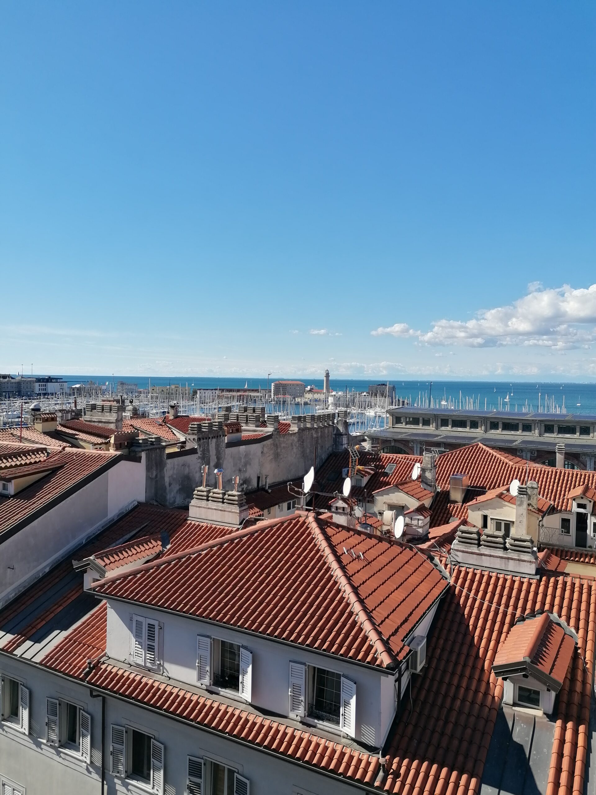 Museo Revoltella - terrazza